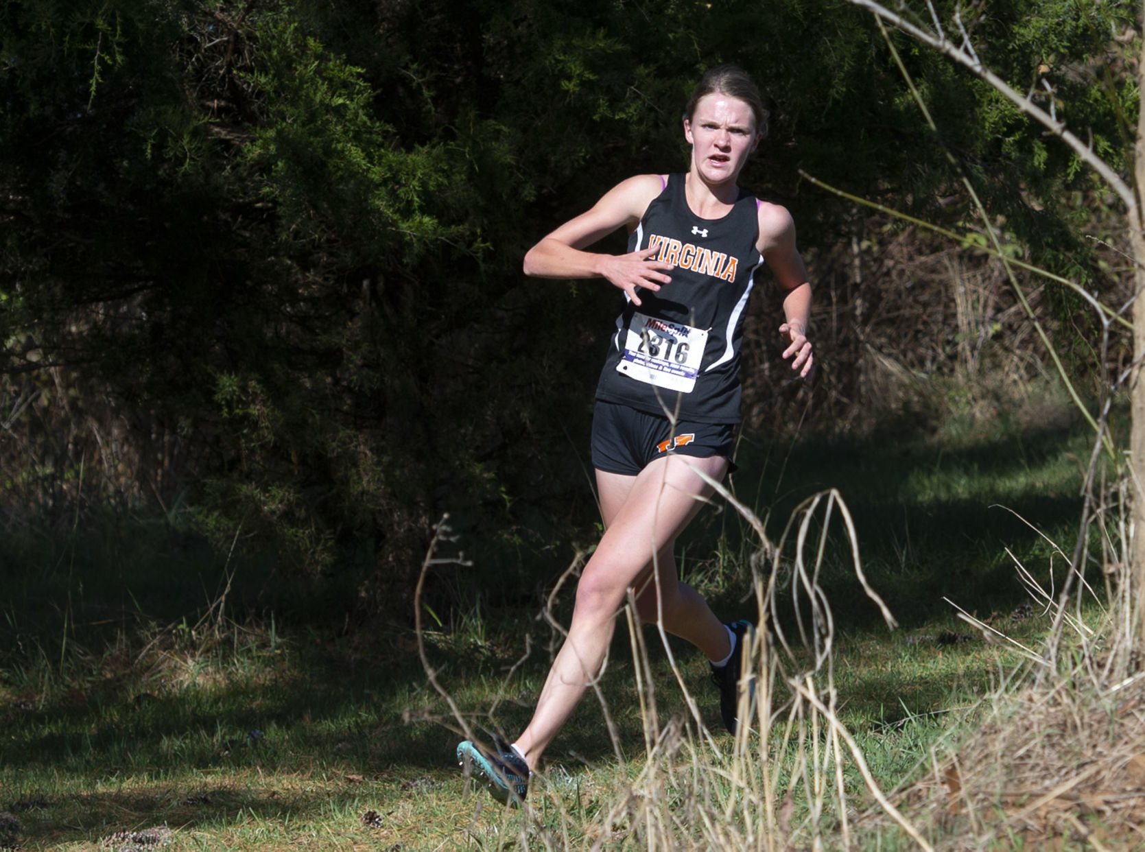 Region 2D Cross Country Championships